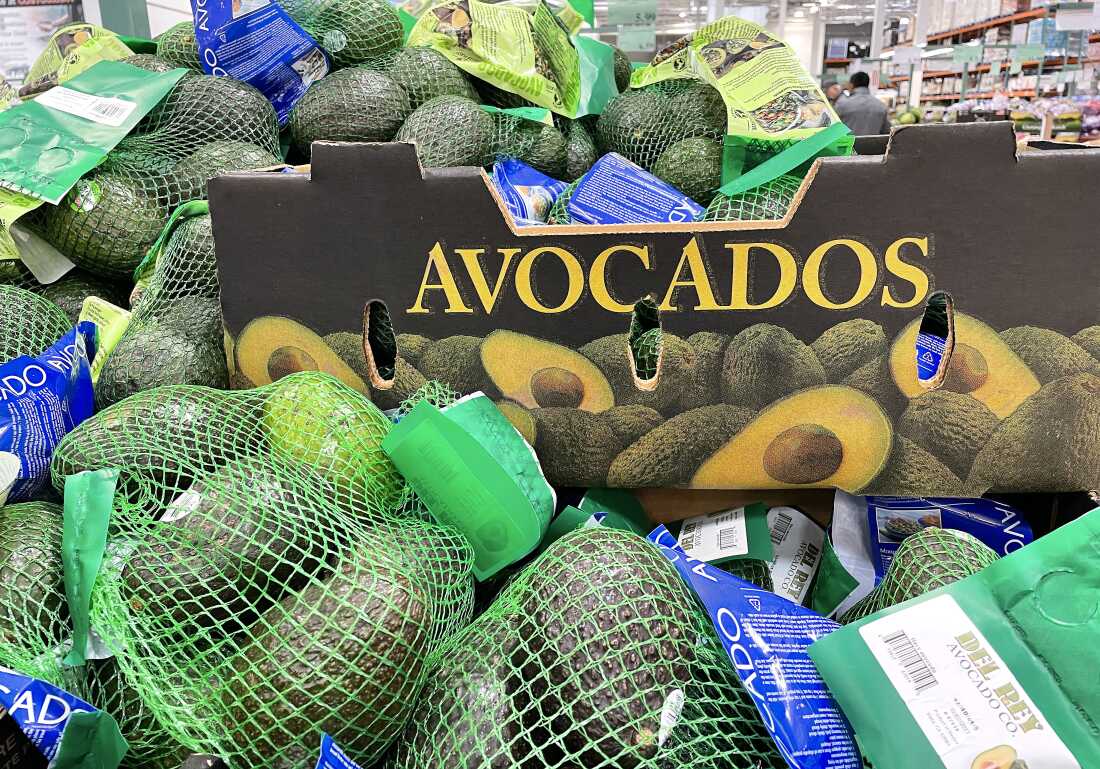 Bags of avocados are placed on a shelf at Costco in Novato, California. 