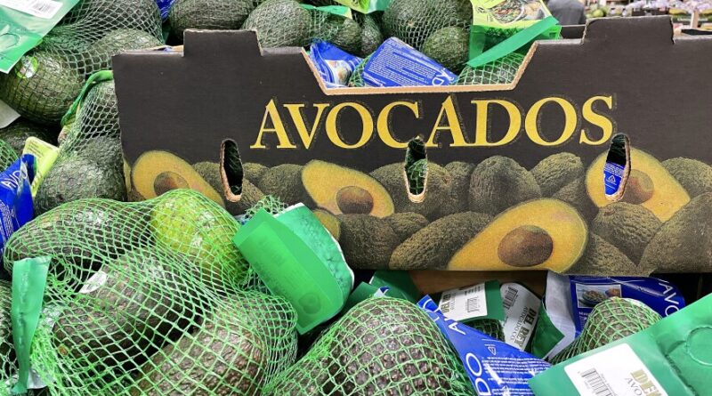 Bags of avocados are placed on a shelf at Costco in Novato, California.