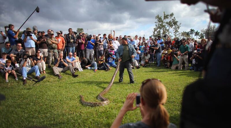 A Burmese python is held by Jeff Fobb as he addresses hunters and the media at a registration event and press conference for the inaugural 2013 Python Challenge.